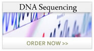 DNA Sequencing