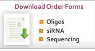 Dowload Documents