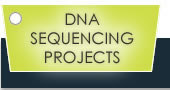 DNA Sequencing projects